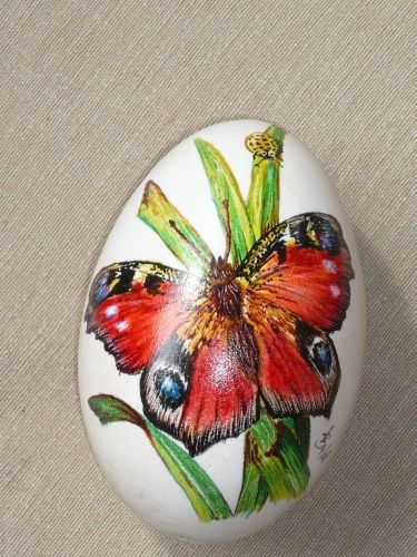 Art.9317.jpg